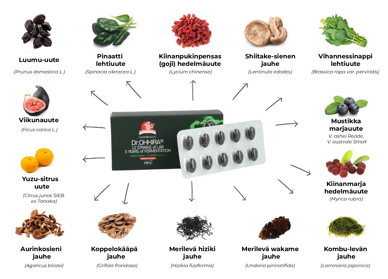 Dr.OHHIRA STANDARD, FERMENTOINTIIN OSALLISTUVAT KASVIT, SIENET JA MERILEVÄT