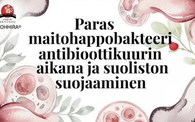 Paras maitohappobakteeri antibioottikuurin aikana: Opas suoliston tukemiseen
