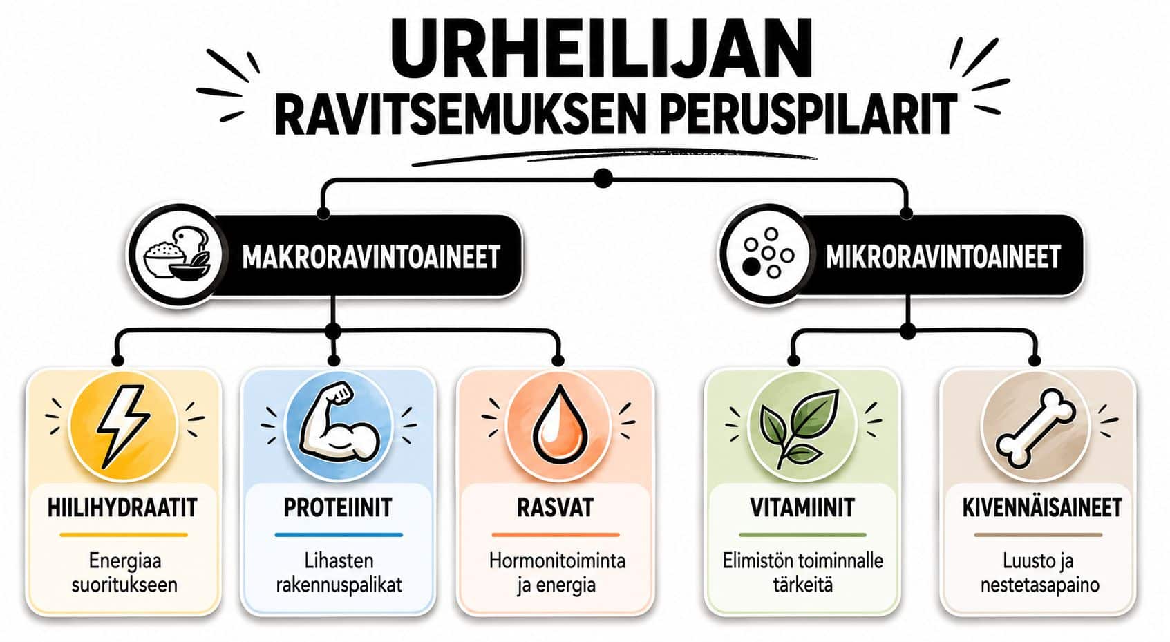 Infograafi näyttää urheilijan ravitsemuksen peruspilarit jaettuna makroravintoaineisiin ja mikroravintoaineisiin, kuten hiilihydraatteihin, proteiineihin, rasvoihin, vitamiineihin ja kivennäisaineisiin.