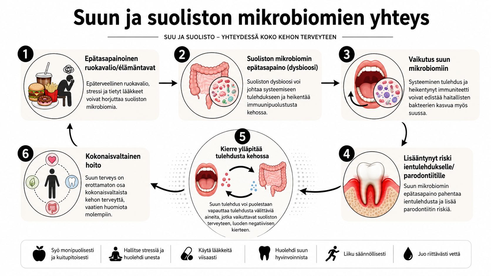 Infografiikka, joka havainnollistaa suun ja suoliston mikrobiomien välistä yhteyttä sekä niiden vaikutusta yleisterveyteen ja hyvinvointiin.