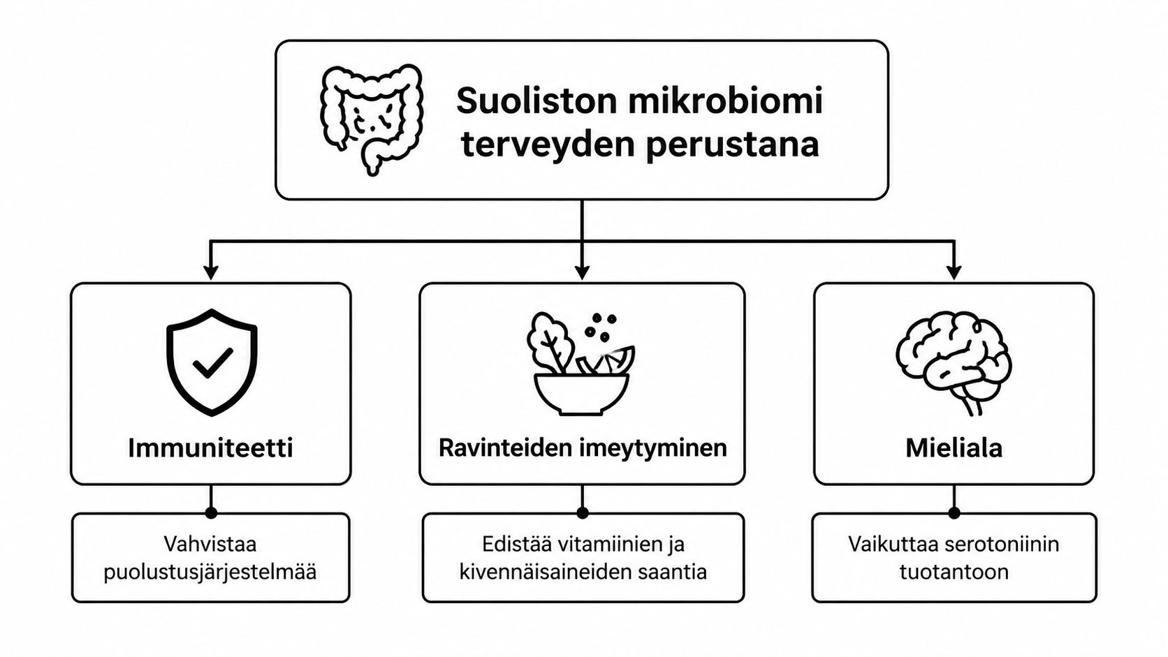 Kaavio, joka havainnollistaa suoliston mikrobiomin merkitystä immuniteetin, ravinteiden imeytymisen sekä mielialan säätelyn kannalta ihmisen terveydelle.