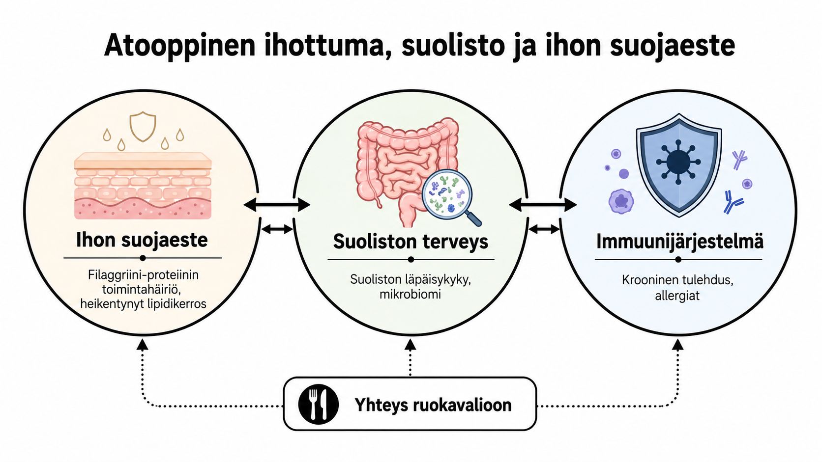 Kaavio näyttää atooppisen ihottuman, suoliston terveyden, immuunijärjestelmän ja ruokavalion väliset monimutkaiset yhteydet ja vuorovaikutukset ihmiskehossa.