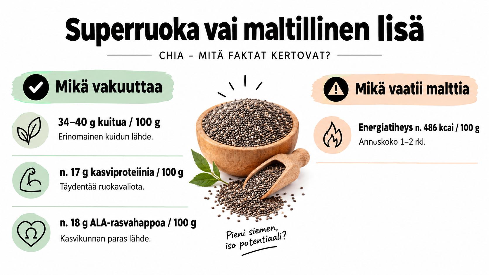 Infografiikka chian siementen ravintoarvoista: kuitu, kasviproteiini ja ALA-rasvahapot verrattuna niiden korkeaan energiatiheyteen ja suositeltuun annoskokoon.
