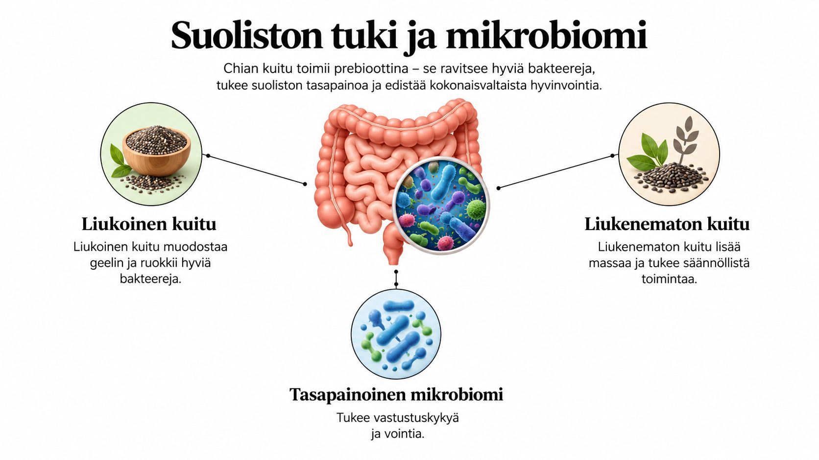 Kaavio näyttää, miten chian siementen liukoinen ja liukenematon kuitu tukevat suoliston mikrobiomin tasapainoa ja yleistä hyvinvointia.