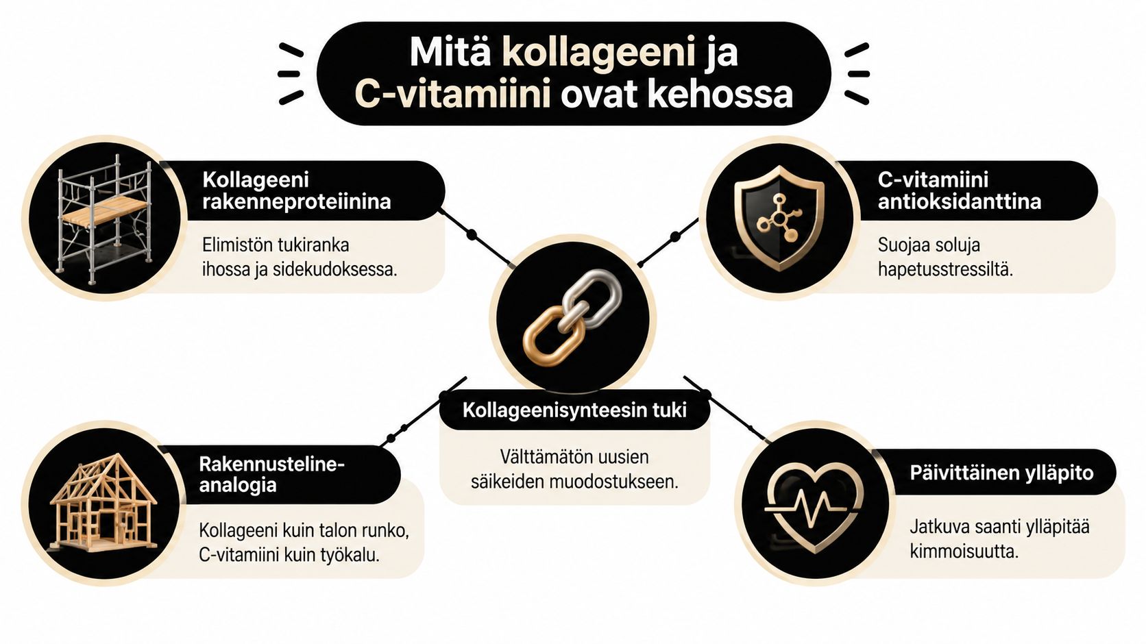 Infograafi, joka havainnollistaa kollageenin ja C-vitamiinin roolia kehon rakenteen ja kimmoisuuden ylläpidossa sekä niiden yhteisvaikutusta.