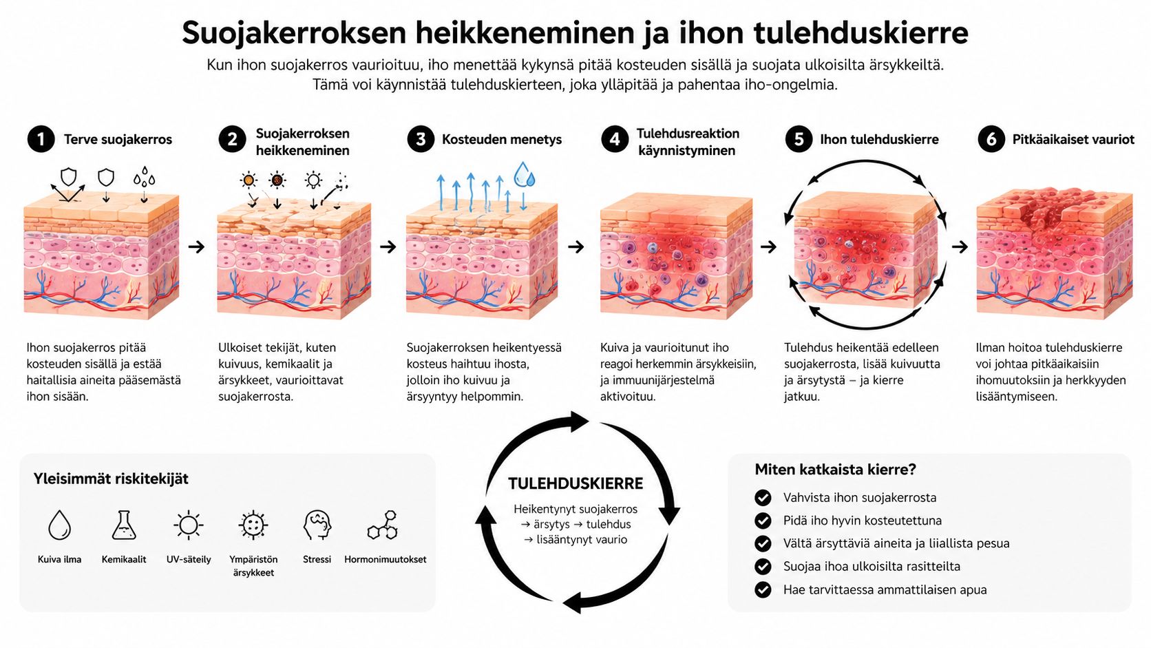 Havainnekuva ihon suojakerroksen heikkenemisestä ja sitä seuraavasta tulehduskierteestä, joka johtaa iho-ongelmiin ja pitkäaikaisiin vaurioihin.
