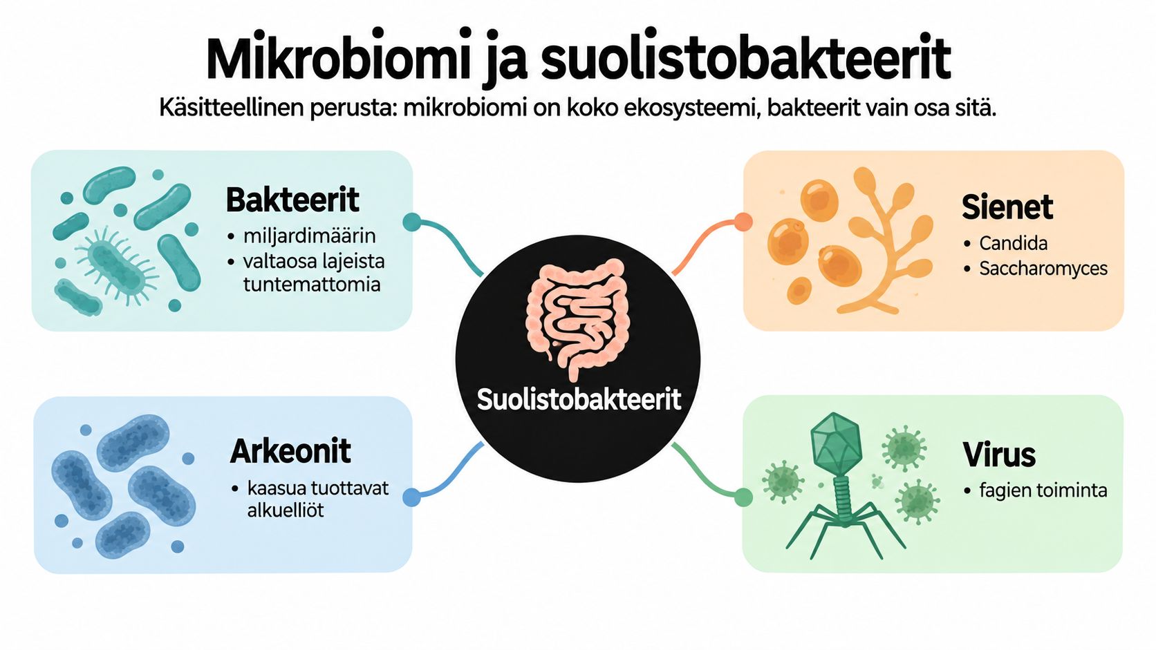 Kaavio havainnollistaa ihmisen suoliston mikrobiomin koostumusta sisältäen bakteerit, sienet, arkeonit ja virukset selkeänä kokonaisuutena.