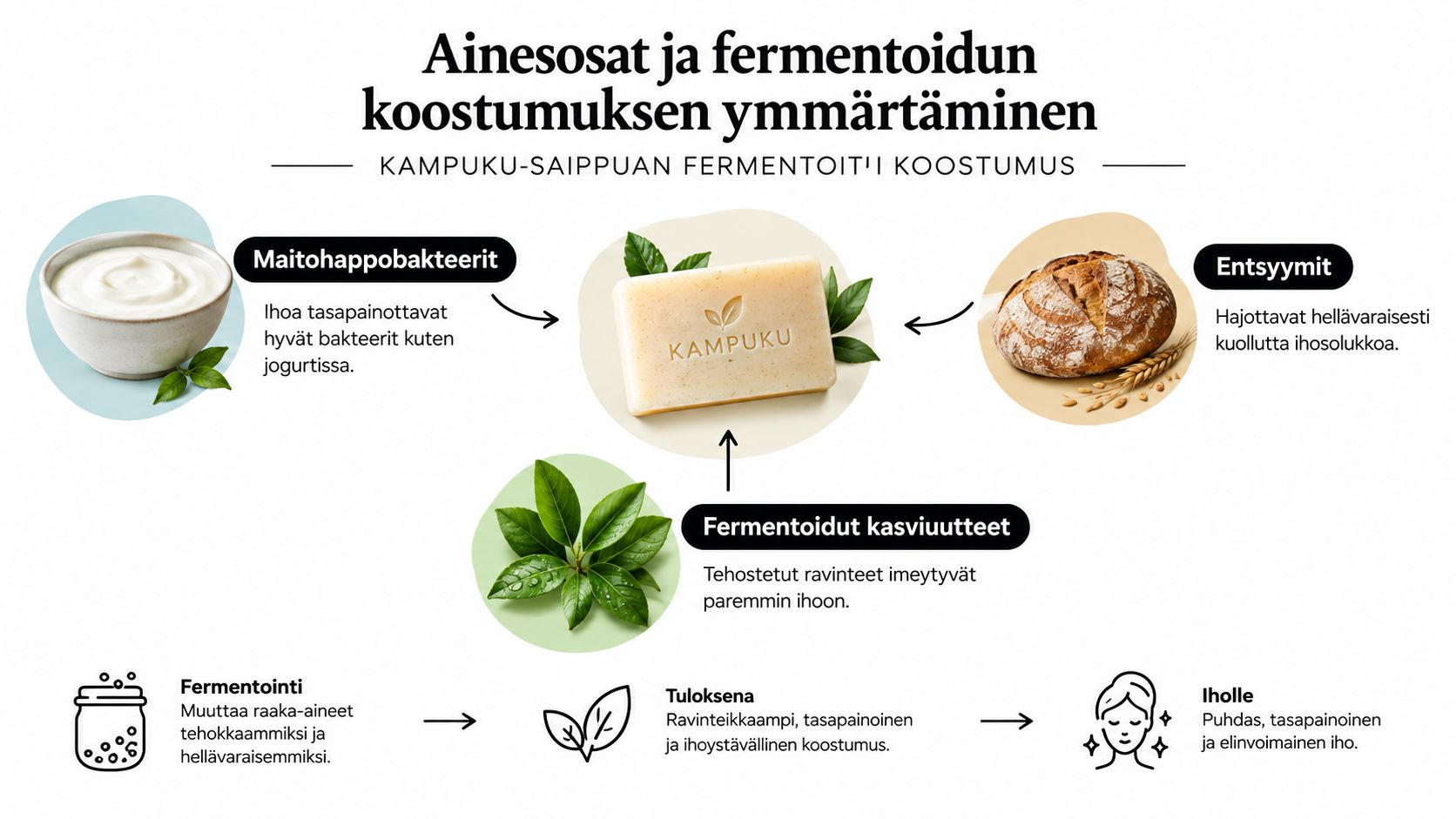 Kaaviokuva esittelee Kampuku-saippuan fermentoidut ainesosat, kuten maitohappobakteerit, entsyymit ja kasviuutteet, sekä niiden hyödyt iholle.