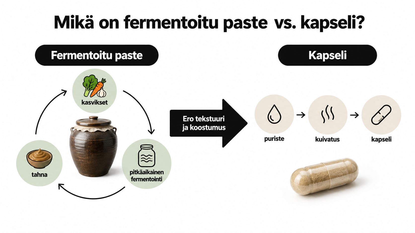Infografiikka havainnollistaa eroa fermentoidun tahnan ja kuivatun kapselin valmistusprosessien välillä selkein kuvituksin ja prosessikaavioin.