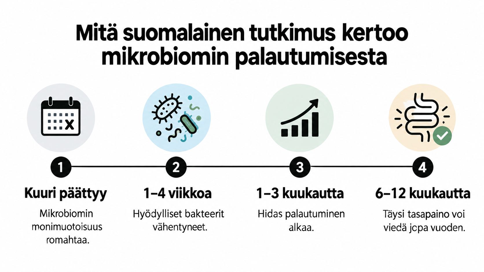 Infograafi, joka kuvaa suoliston mikrobiomin toipumista antibioottikuurin jälkeen neljässä eri vaiheessa kuuden-kahdentoista kuukauden aikana.