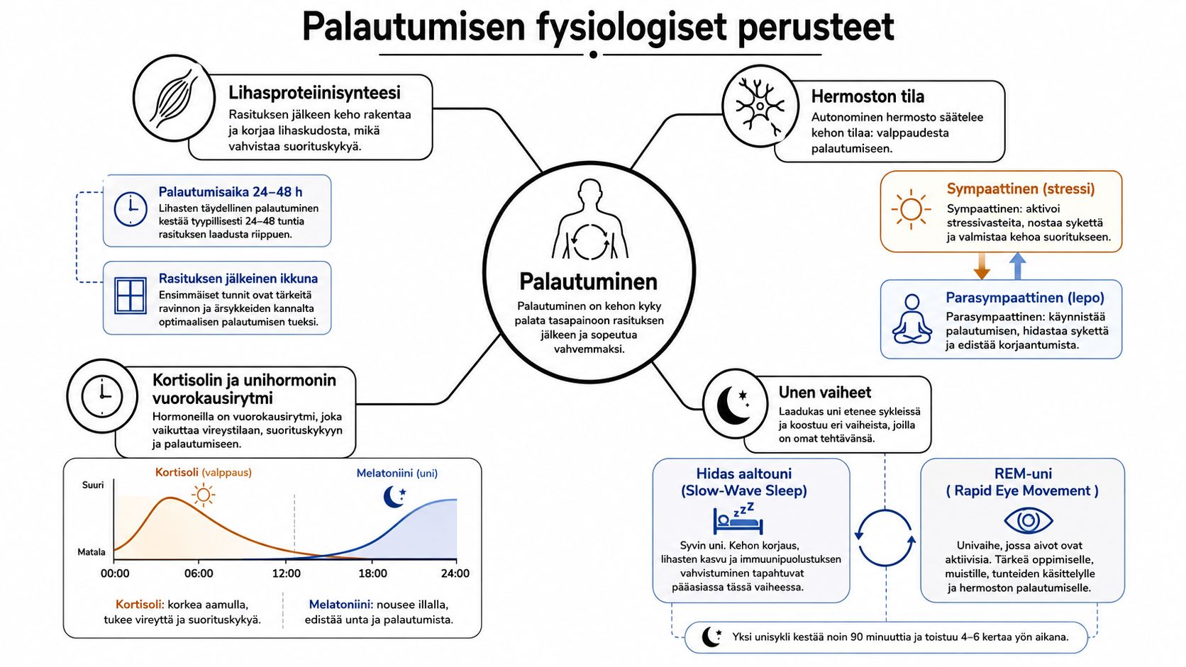 Kaavio palautumisen fysiologisista perusteista, mukaan lukien lihasproteiinisynteesi, hermoston tila, kortisolin vuorokausirytmi ja unen eri vaiheet.