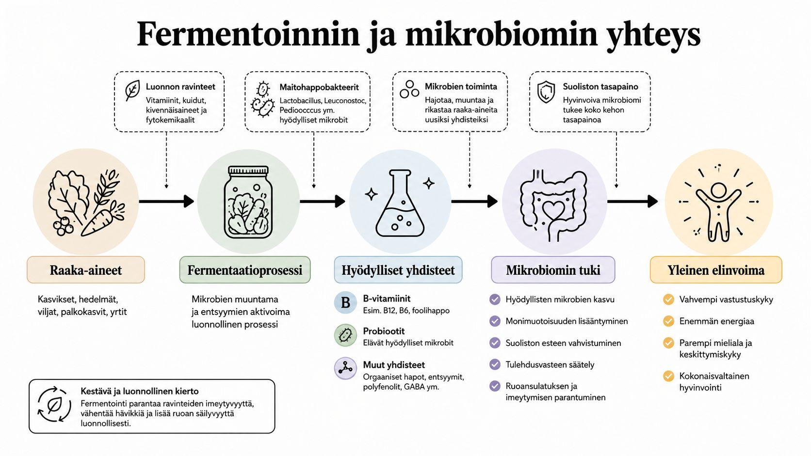 Kaavio, joka havainnollistaa fermentoinnin ja mikrobiomin välistä yhteyttä raaka-aineista aina yleiseen elinvoimaan saakka.